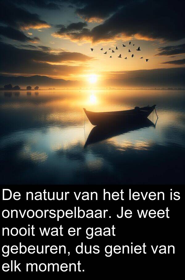 dus: De natuur van het leven is onvoorspelbaar. Je weet nooit wat er gaat gebeuren, dus geniet van elk moment.