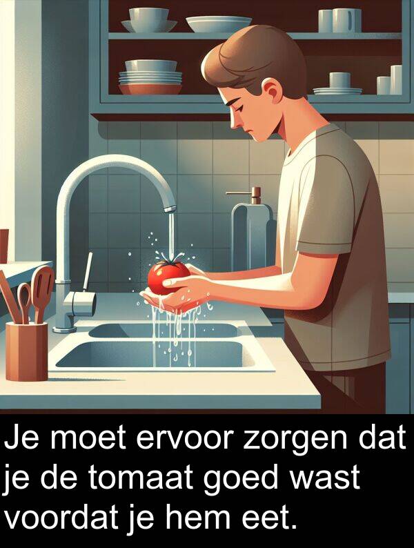 goed: Je moet ervoor zorgen dat je de tomaat goed wast voordat je hem eet.