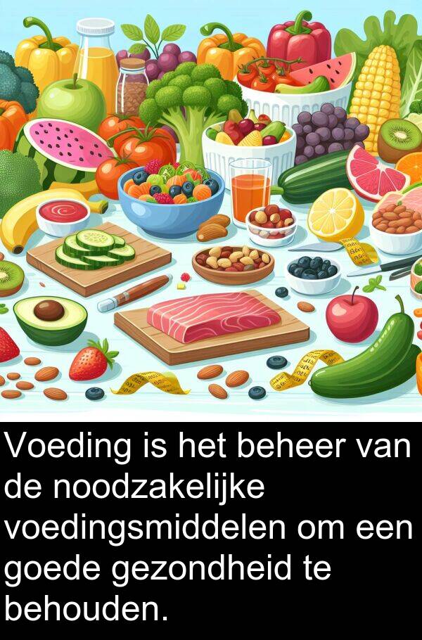 goede: Voeding is het beheer van de noodzakelijke voedingsmiddelen om een goede gezondheid te behouden.