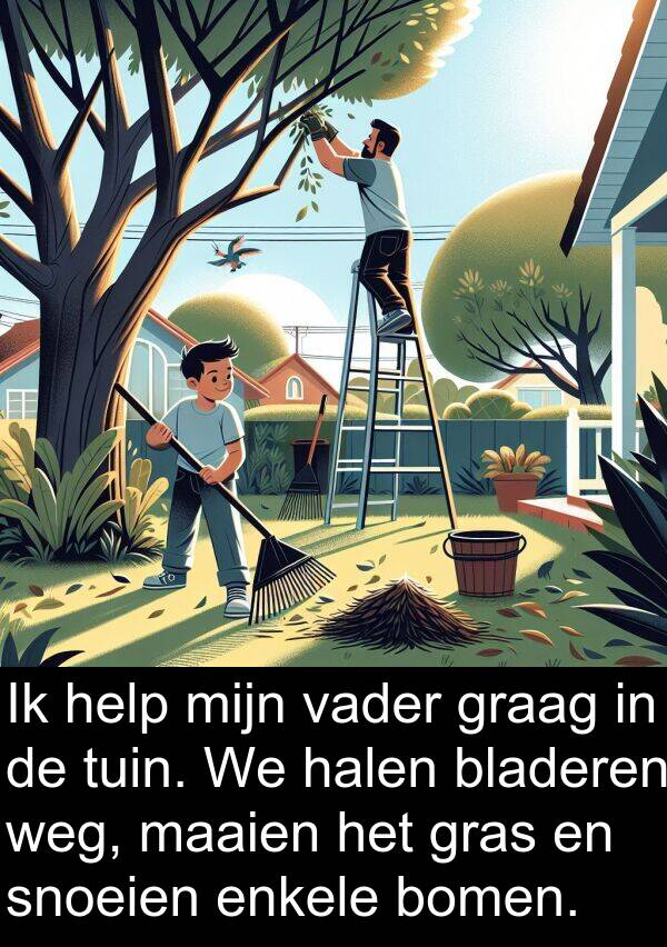 graag: Ik help mijn vader graag in de tuin. We halen bladeren weg, maaien het gras en snoeien enkele bomen.