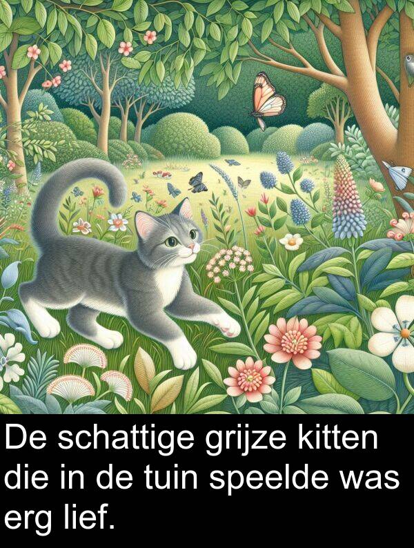 grijze: De schattige grijze kitten die in de tuin speelde was erg lief.