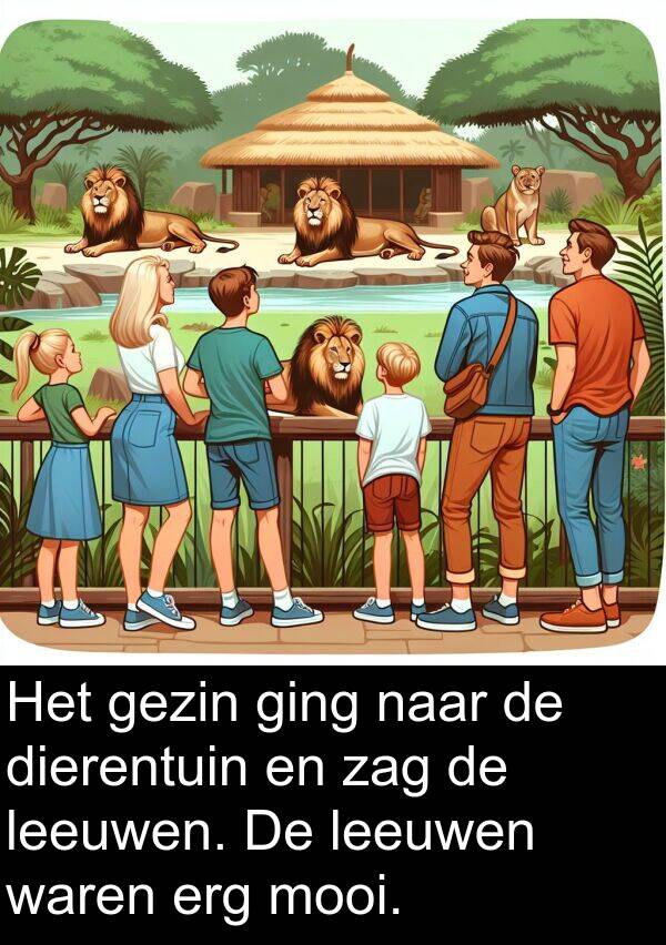 gezin: Het gezin ging naar de dierentuin en zag de leeuwen. De leeuwen waren erg mooi.