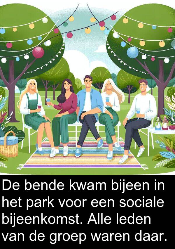 groep: De bende kwam bijeen in het park voor een sociale bijeenkomst. Alle leden van de groep waren daar.