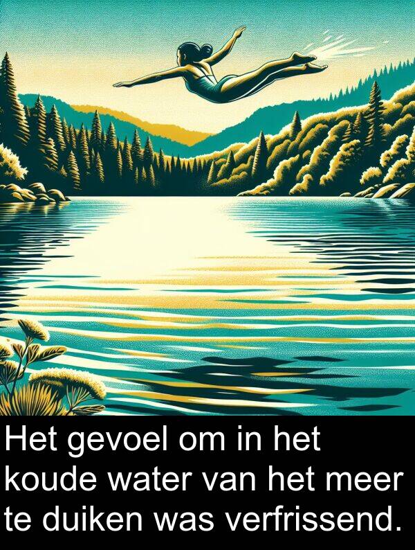 gevoel: Het gevoel om in het koude water van het meer te duiken was verfrissend.