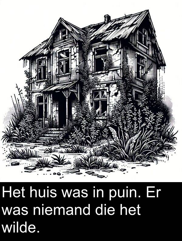 puin: Het huis was in puin. Er was niemand die het wilde.