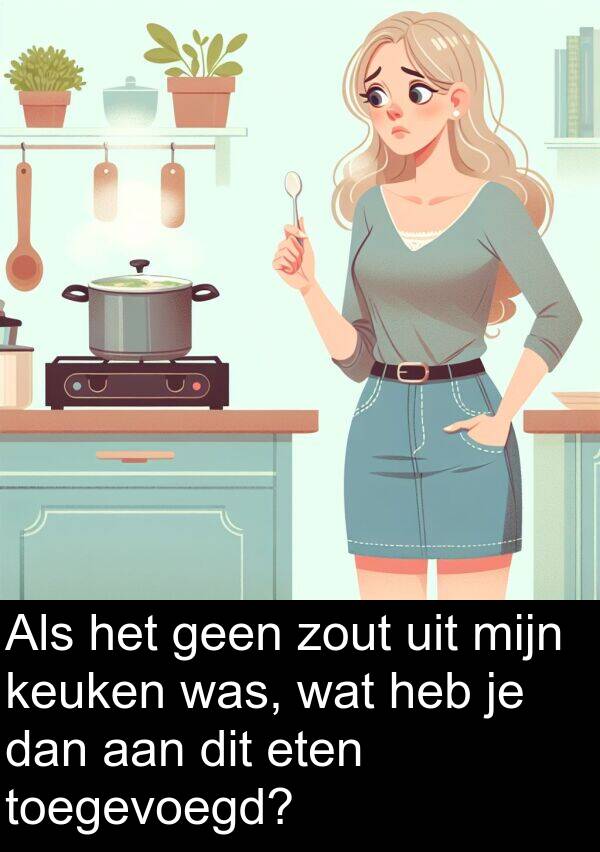 zout: Als het geen zout uit mijn keuken was, wat heb je dan aan dit eten toegevoegd?