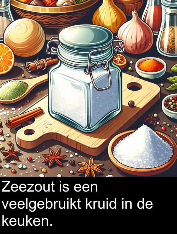 kruid: Zeezout is een veelgebruikt kruid in de keuken.
