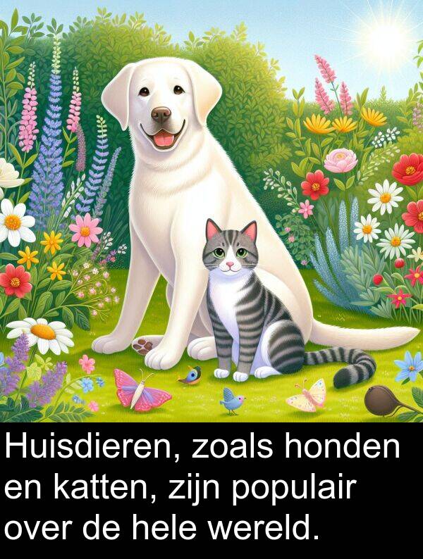 populair: Huisdieren, zoals honden en katten, zijn populair over de hele wereld.