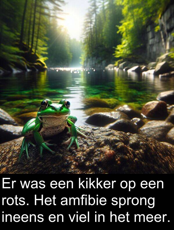 viel: Er was een kikker op een rots. Het amfibie sprong ineens en viel in het meer.