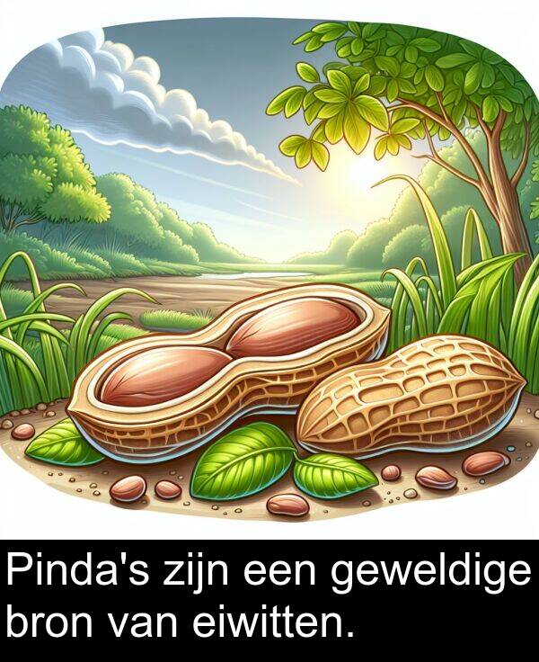 geweldige: Pinda's zijn een geweldige bron van eiwitten.