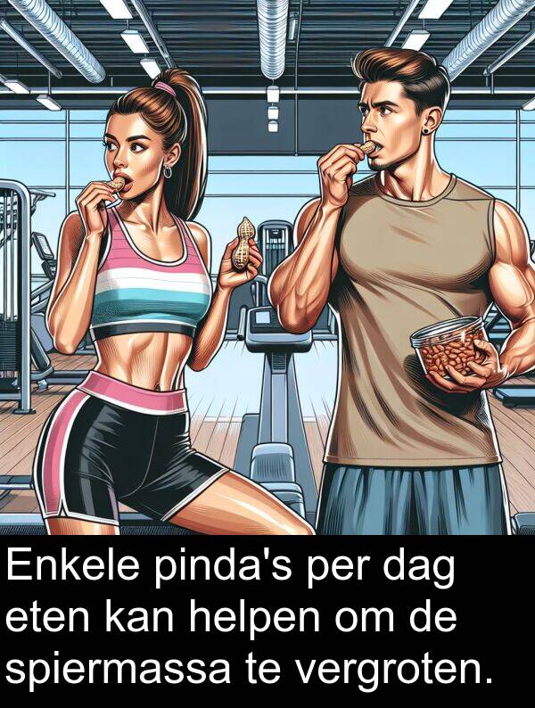 dag: Enkele pinda's per dag eten kan helpen om de spiermassa te vergroten.