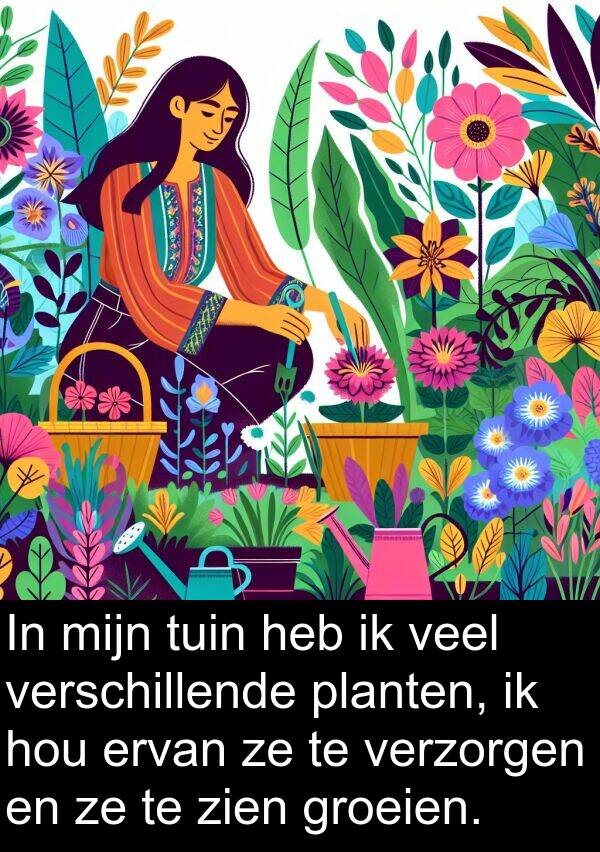 groeien: In mijn tuin heb ik veel verschillende planten, ik hou ervan ze te verzorgen en ze te zien groeien.