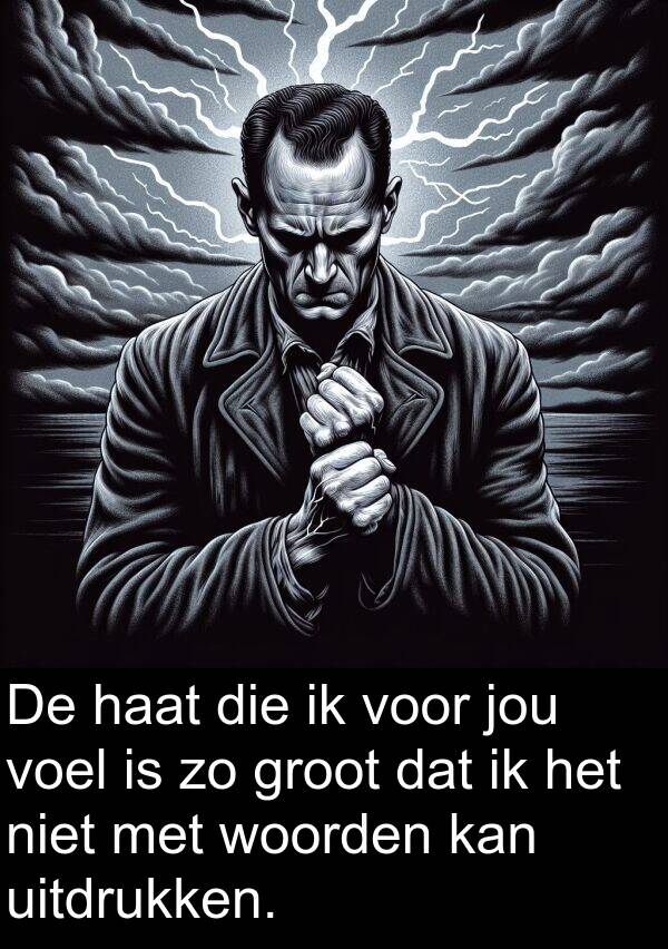 groot: De haat die ik voor jou voel is zo groot dat ik het niet met woorden kan uitdrukken.