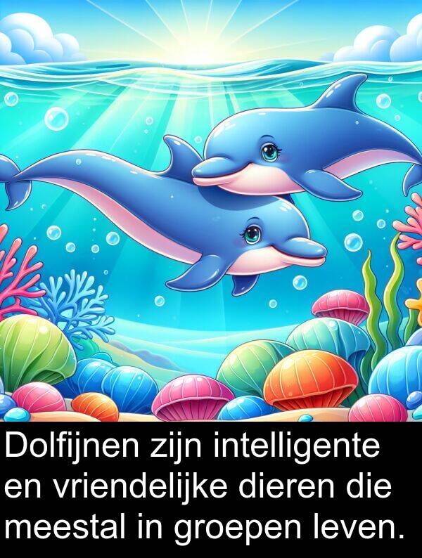 groepen: Dolfijnen zijn intelligente en vriendelijke dieren die meestal in groepen leven.