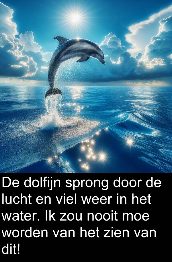 weer: De dolfijn sprong door de lucht en viel weer in het water. Ik zou nooit moe worden van het zien van dit!