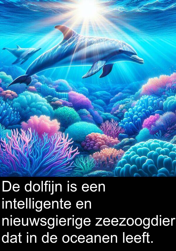 leeft: De dolfijn is een intelligente en nieuwsgierige zeezoogdier dat in de oceanen leeft.