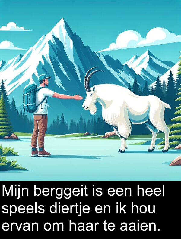 heel: Mijn berggeit is een heel speels diertje en ik hou ervan om haar te aaien.