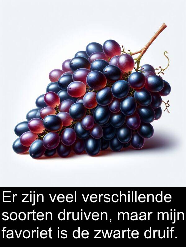 druiven: Er zijn veel verschillende soorten druiven, maar mijn favoriet is de zwarte druif.