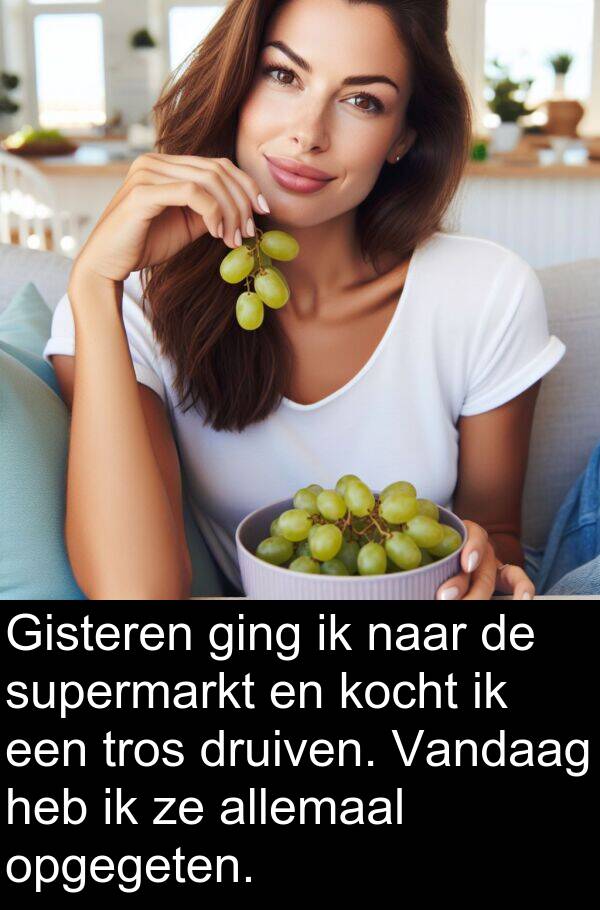 ging: Gisteren ging ik naar de supermarkt en kocht ik een tros druiven. Vandaag heb ik ze allemaal opgegeten.