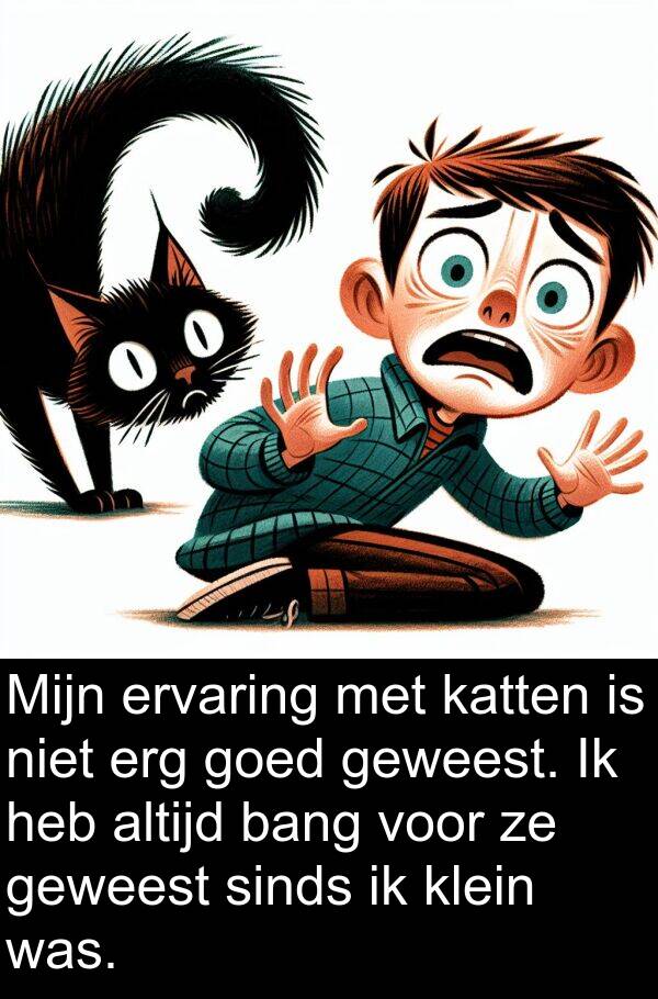 geweest: Mijn ervaring met katten is niet erg goed geweest. Ik heb altijd bang voor ze geweest sinds ik klein was.