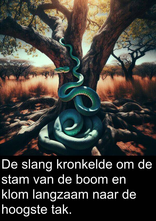 hoogste: De slang kronkelde om de stam van de boom en klom langzaam naar de hoogste tak.