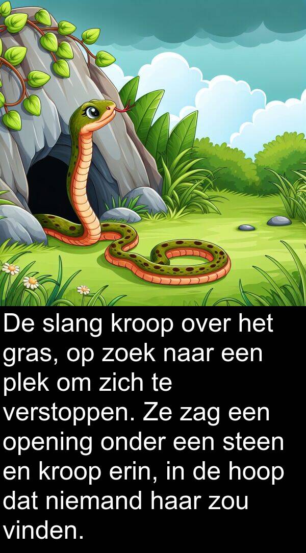zoek: De slang kroop over het gras, op zoek naar een plek om zich te verstoppen. Ze zag een opening onder een steen en kroop erin, in de hoop dat niemand haar zou vinden.