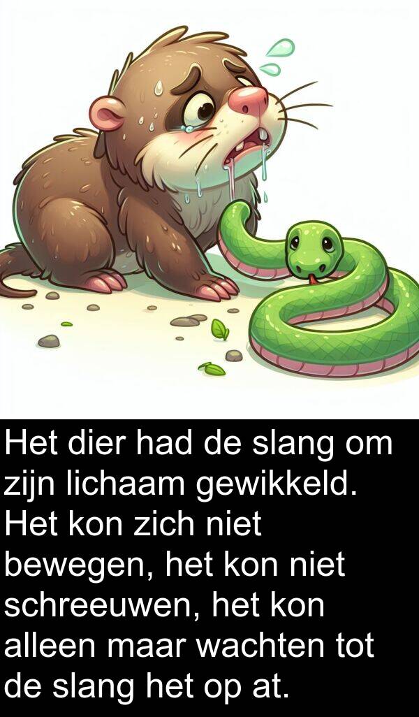 gewikkeld: Het dier had de slang om zijn lichaam gewikkeld. Het kon zich niet bewegen, het kon niet schreeuwen, het kon alleen maar wachten tot de slang het op at.