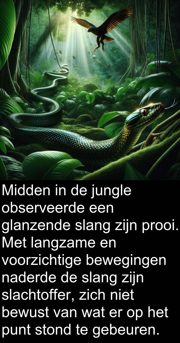 glanzende: Midden in de jungle observeerde een glanzende slang zijn prooi. Met langzame en voorzichtige bewegingen naderde de slang zijn slachtoffer, zich niet bewust van wat er op het punt stond te gebeuren.