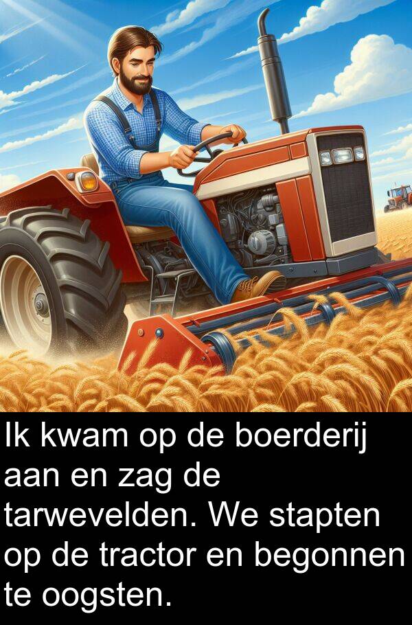 stapten: Ik kwam op de boerderij aan en zag de tarwevelden. We stapten op de tractor en begonnen te oogsten.