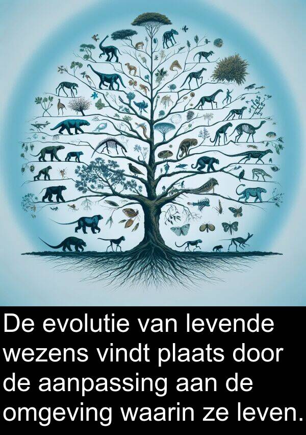 vindt: De evolutie van levende wezens vindt plaats door de aanpassing aan de omgeving waarin ze leven.