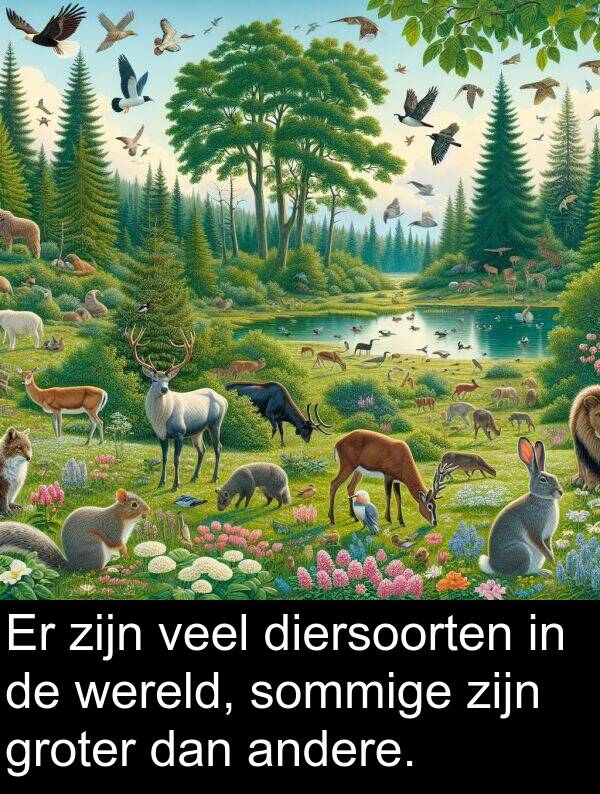 groter: Er zijn veel diersoorten in de wereld, sommige zijn groter dan andere.
