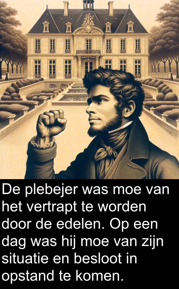 situatie: De plebejer was moe van het vertrapt te worden door de edelen. Op een dag was hij moe van zijn situatie en besloot in opstand te komen.