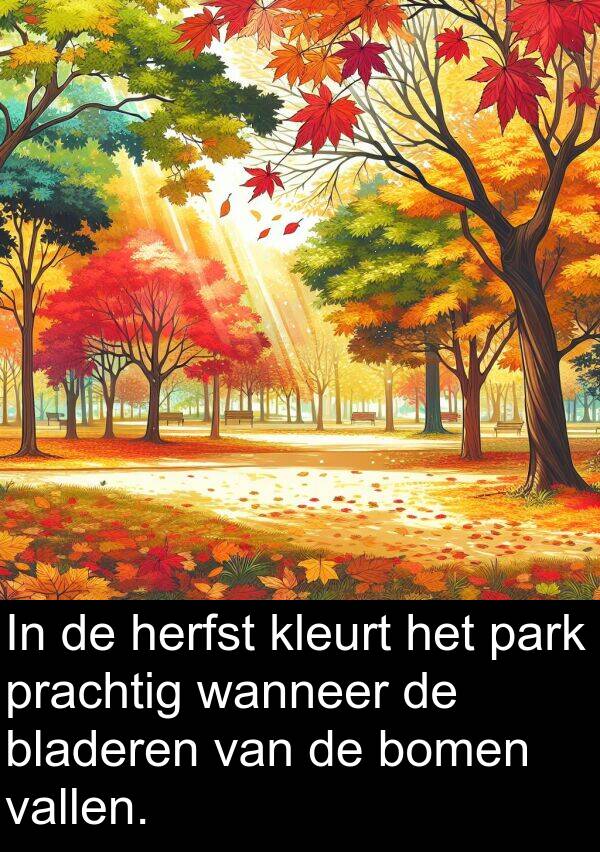 bladeren: In de herfst kleurt het park prachtig wanneer de bladeren van de bomen vallen.