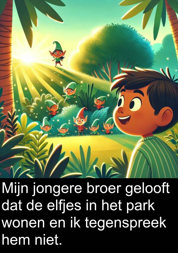gelooft: Mijn jongere broer gelooft dat de elfjes in het park wonen en ik tegenspreek hem niet.