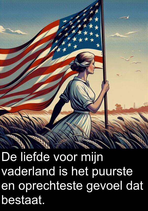 gevoel: De liefde voor mijn vaderland is het puurste en oprechteste gevoel dat bestaat.