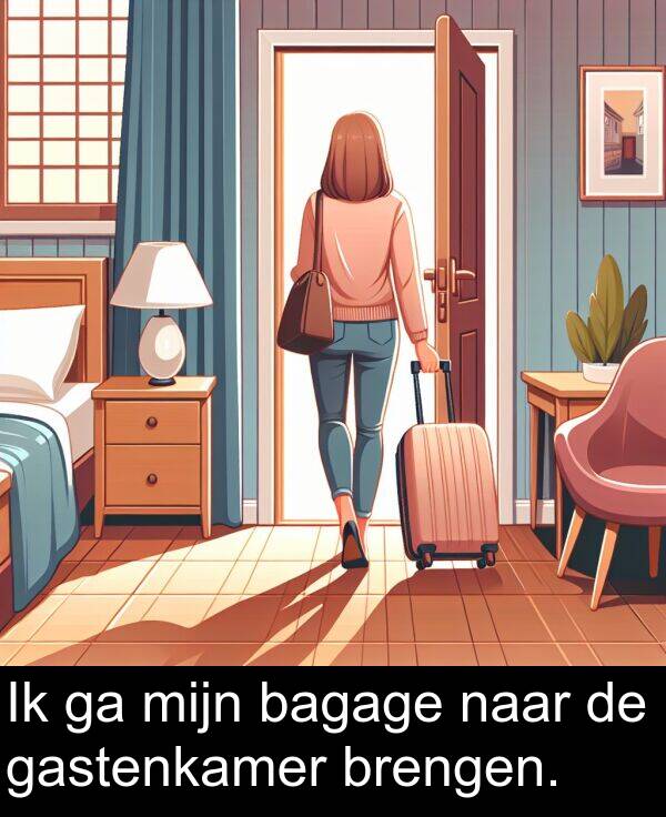 bagage: Ik ga mijn bagage naar de gastenkamer brengen.