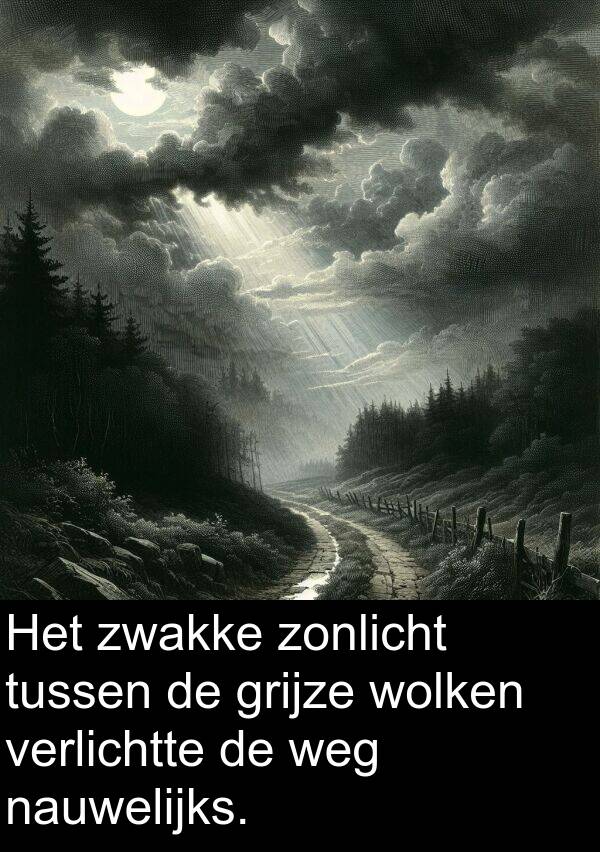 grijze: Het zwakke zonlicht tussen de grijze wolken verlichtte de weg nauwelijks.