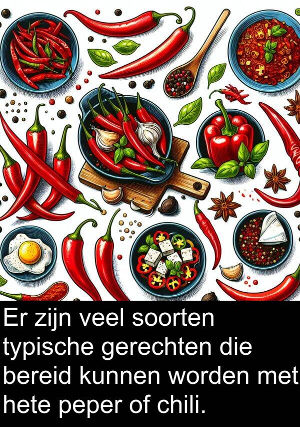 soorten: Er zijn veel soorten typische gerechten die bereid kunnen worden met hete peper of chili.