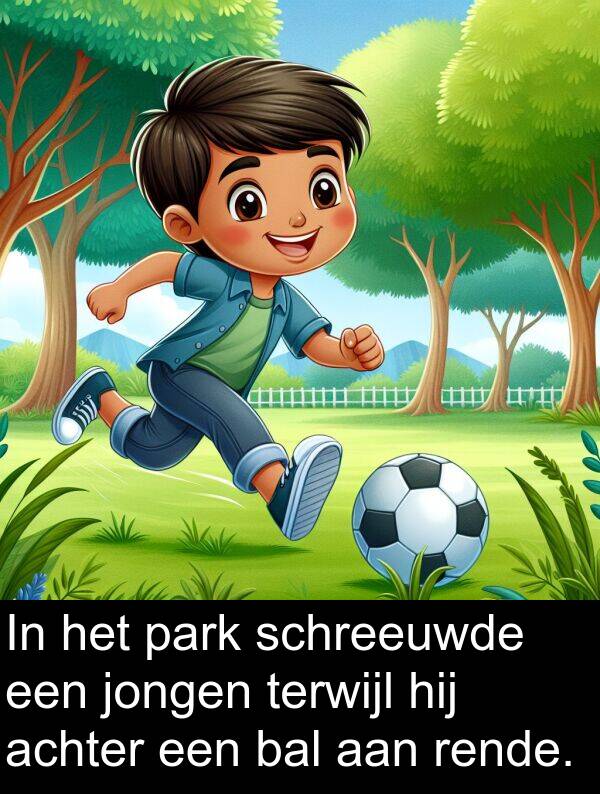 bal: In het park schreeuwde een jongen terwijl hij achter een bal aan rende.