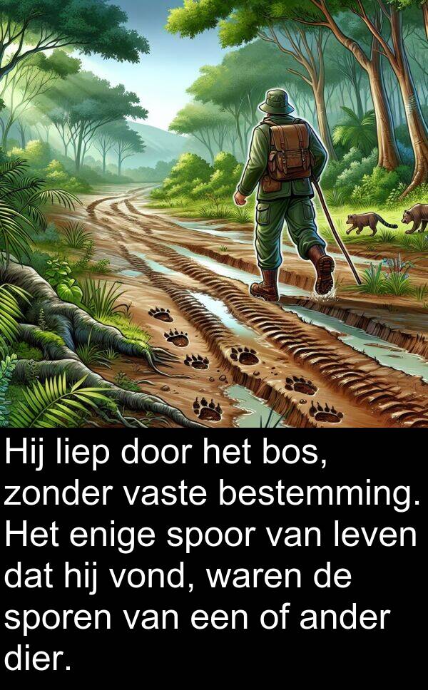 ander: Hij liep door het bos, zonder vaste bestemming. Het enige spoor van leven dat hij vond, waren de sporen van een of ander dier.