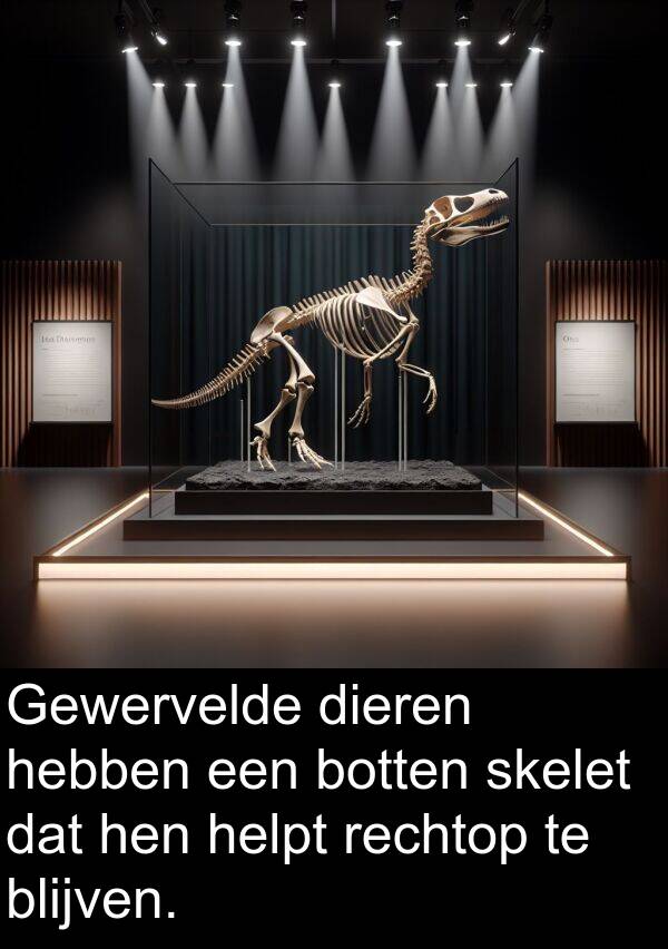 skelet: Gewervelde dieren hebben een botten skelet dat hen helpt rechtop te blijven.