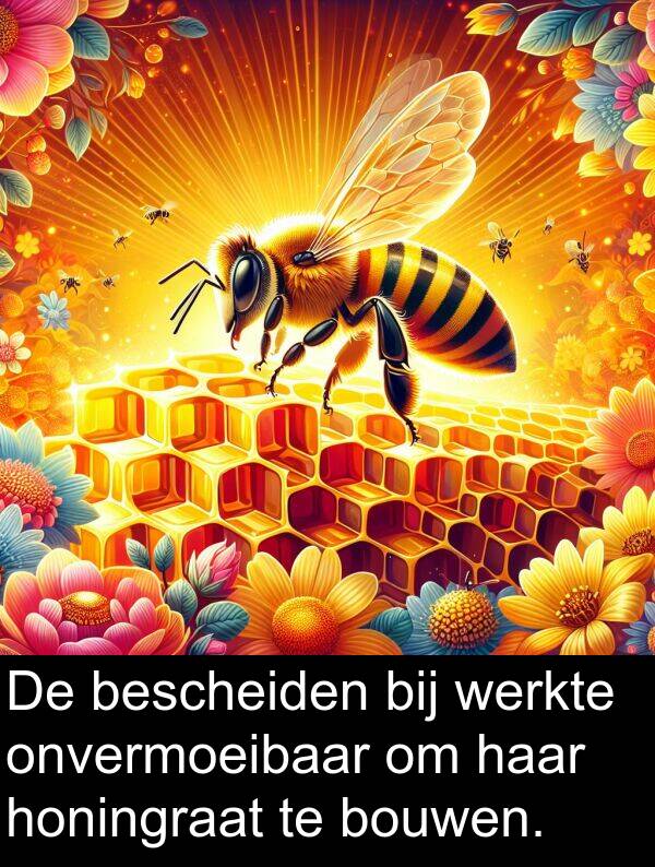 honingraat: De bescheiden bij werkte onvermoeibaar om haar honingraat te bouwen.