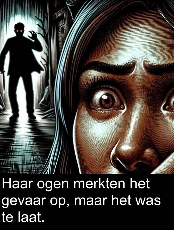 gevaar: Haar ogen merkten het gevaar op, maar het was te laat.