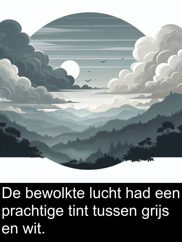 grijs: De bewolkte lucht had een prachtige tint tussen grijs en wit.