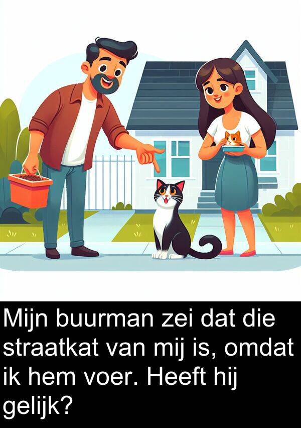 gelijk: Mijn buurman zei dat die straatkat van mij is, omdat ik hem voer. Heeft hij gelijk?
