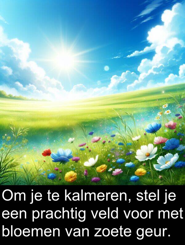 geur: Om je te kalmeren, stel je een prachtig veld voor met bloemen van zoete geur.