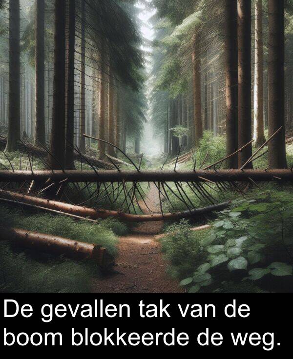 gevallen: De gevallen tak van de boom blokkeerde de weg.
