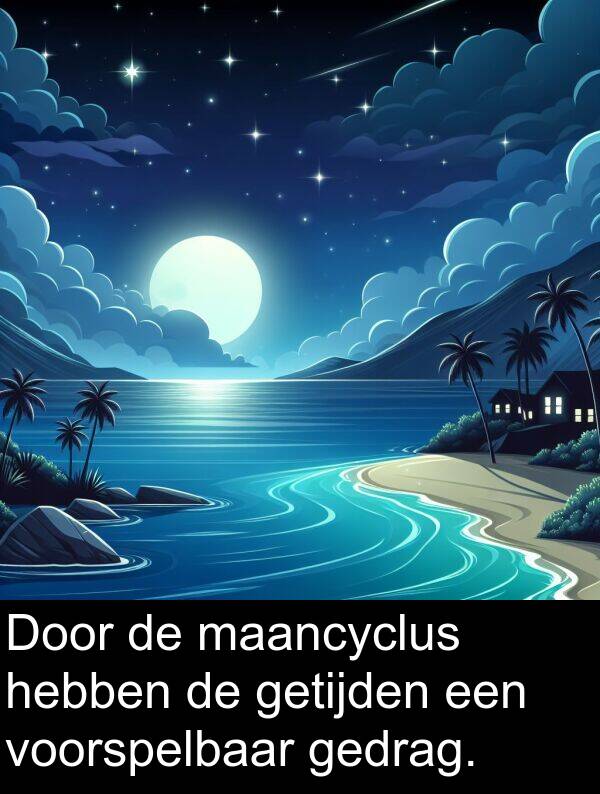 voorspelbaar: Door de maancyclus hebben de getijden een voorspelbaar gedrag.