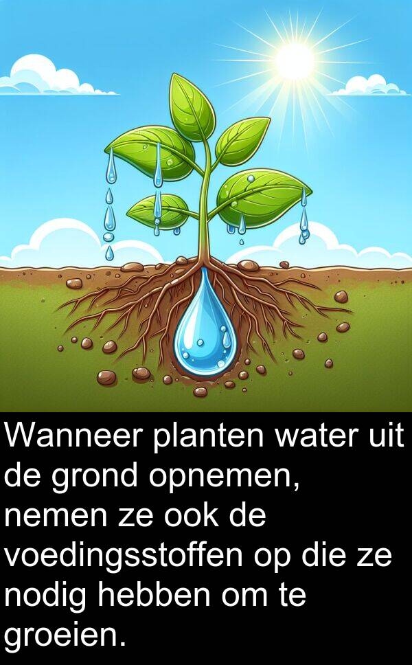 grond: Wanneer planten water uit de grond opnemen, nemen ze ook de voedingsstoffen op die ze nodig hebben om te groeien.