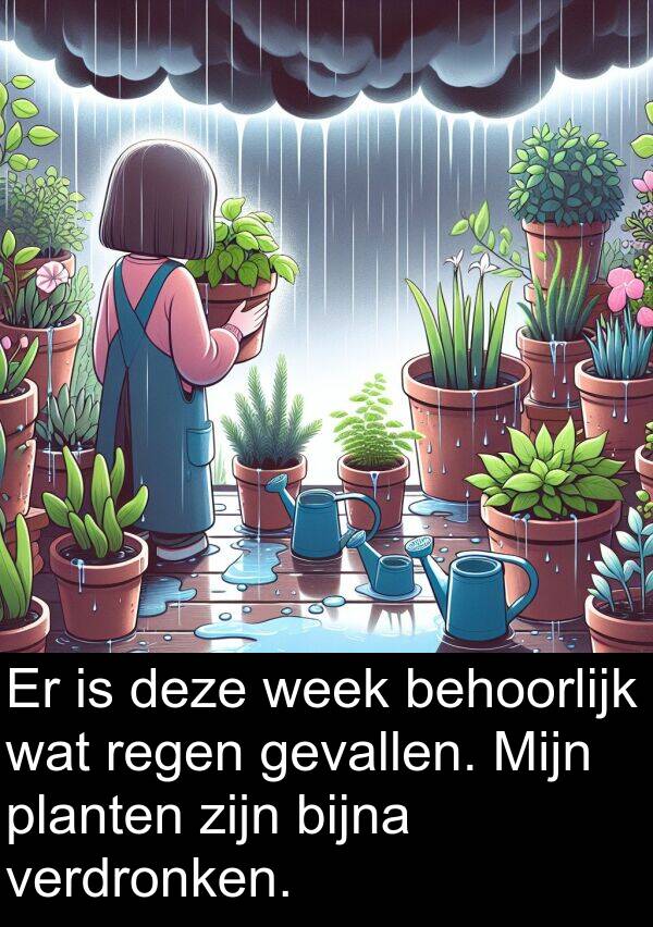 gevallen: Er is deze week behoorlijk wat regen gevallen. Mijn planten zijn bijna verdronken.